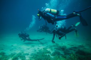 Group of divers underwater with scuba equipment and two of them with action cameras.