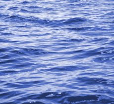 Företag som räddar liv i havet